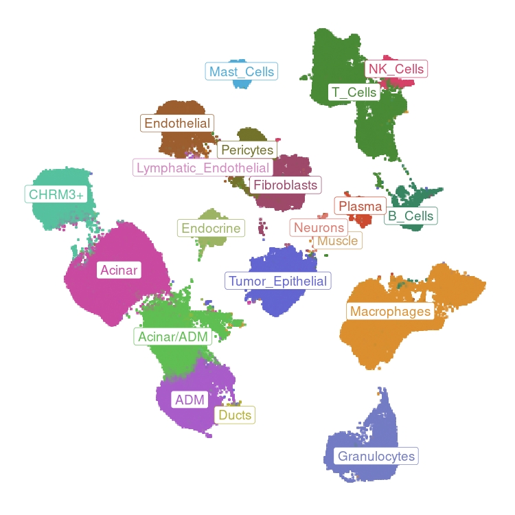scRNAseq Atlas UMAP visualization