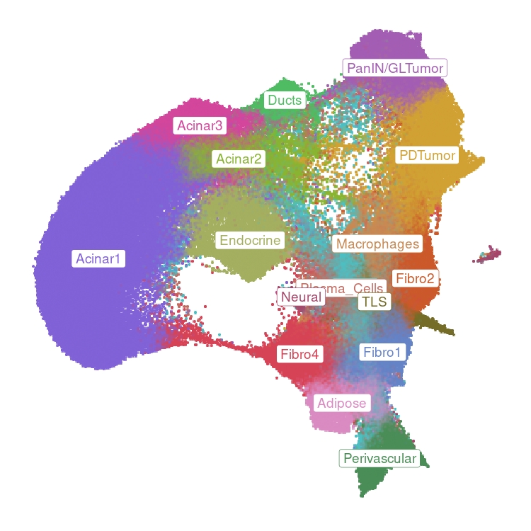 Integrated spatial atlas UMAP
